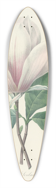 Pierre Joseph Redout - Choix des plus belles fleurs pl 046 39.3 inch art pintail longboard deck