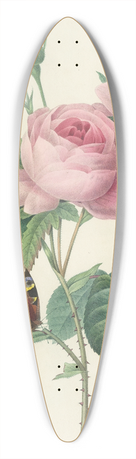Pierre Joseph Redout - Choix des plus belles fleurs pl 088 39.3 inch art pintail longboard deck