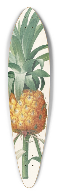 Pierre Joseph Redout - Les liliacees Pl.35 39.3 inch art pintail longboard deck
