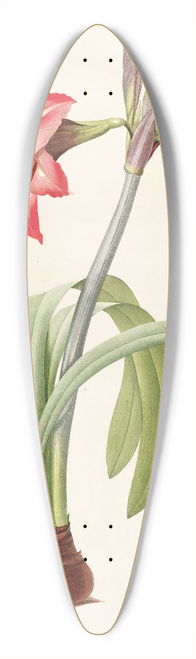 Pierre Joseph Redout - Les liliacees Pl.48 39.3 inch art pintail longboard deck