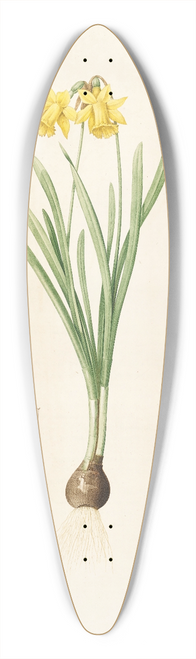 Pierre Joseph Redout - Les liliacees Pl.59 39.3 inch art pintail longboard deck