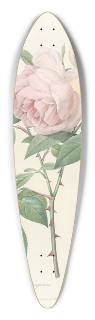 Pierre Joseph Redout - Rosa Indica Fragrans 39.3 inch art pintail longboard deck