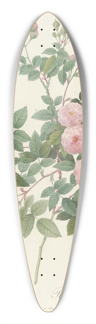 Pierre Joseph Redout - Rosa Multiflora Carnea 39.3 inch art pintail longboard deck
