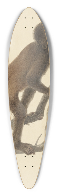 Pieter Pietersz. Barbiers - Aapje 39.3 inch art pintail longboard deck