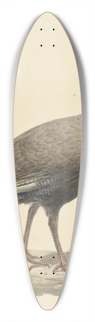 Pieter Pietersz. Barbiers - Helmparelhoen 39.3 inch art pintail longboard deck