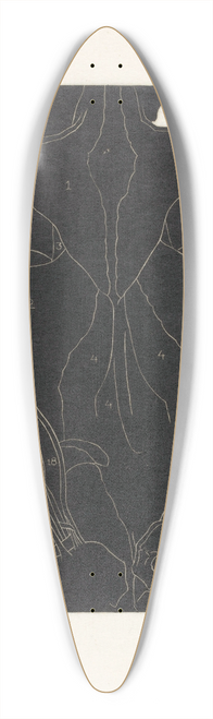 Reijer Stolk - Anatomische studie van de rugspieren van een man in silhouet 39.3 inch art pintail longboard deck