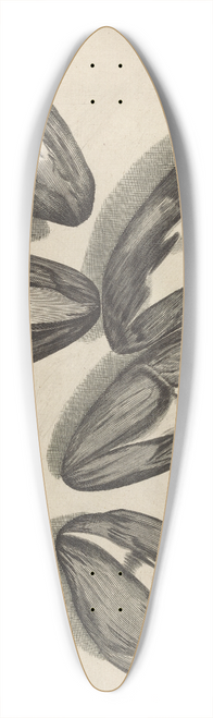 Robert Hooke - Microscopic view of seeds of Venus looking-glass or corn violet 39.3 inch art pintail longboard deck
