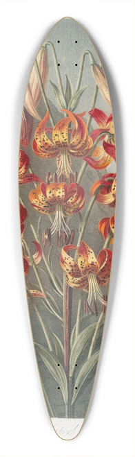 Robert John Thornton - The Superb Lily 39.3 inch art pintail longboard deck