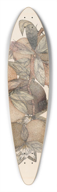 Rufus King - Pomegranate Fruit 39.3 inch art pintail longboard deck
