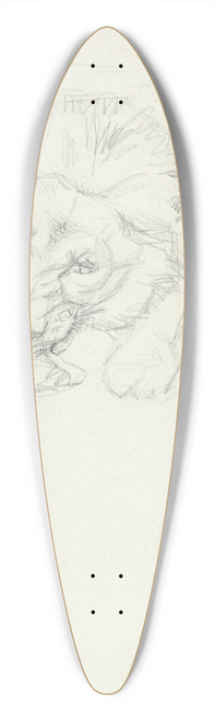 Svend Rathsack - Lve, der spiser 39.3 inch art pintail longboard deck