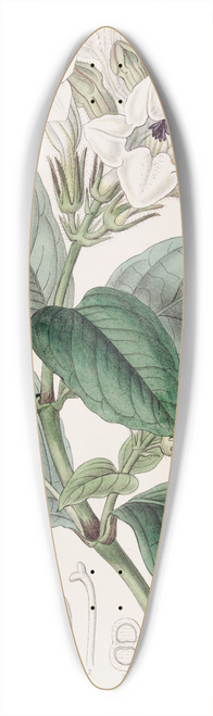 Sydenham Edwards - Climbing Henfreya 39.3 inch art pintail longboard deck