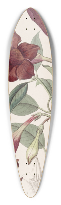Sydenham Edwards - Dark-purple Echites 39.3 inch art pintail longboard deck