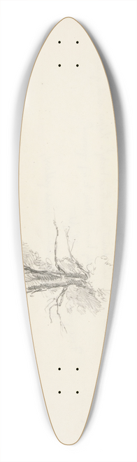 Truman Seymour - Study of aTree 39.3 inch art pintail longboard deck