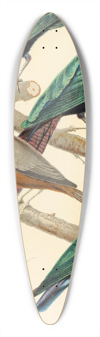 W. A . Blakston - Glossy Starlings, Malabar Mynah 39.3 inch art pintail longboard deck