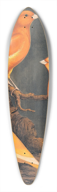 W. A . Blakston - Norwich Canaries 39.3 inch art pintail longboard deck