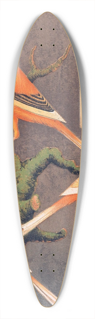 W. A . Blakston - Norwich Canaries-Evenly-Marked Crested Yellow, Grey Crested Buff,Evenly-Marked Crested Buff 39.3 inch art pintail longboard deck W. A . Blakston - Norwich Canaries-Evenly-Marked Crested Yellow, Grey Crested Buff,Evenly-Marked Crested Buff 39.3 inch art pintail longboard deck