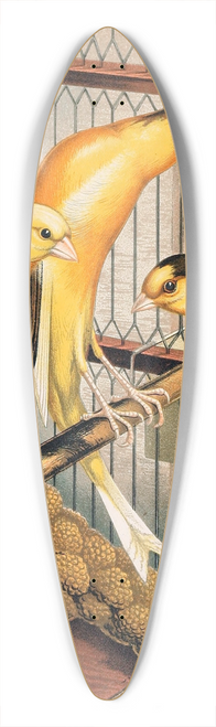 W. A . Blakston - Scotch Fancy Canaries, Piebald 39.3 inch art pintail longboard deck