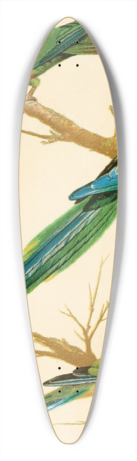 W. A . Blakston - White-Eared Conures, Malabar Parrakeet, Blue Bonnet Parrakeet 39.3 inch art pintail longboard deck