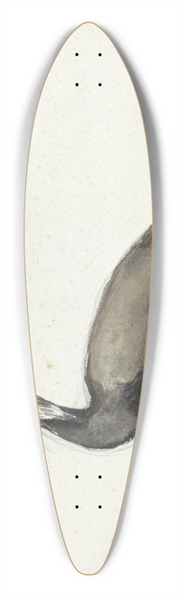 Willem Roelofs - Aalscholver 39.3 inch art pintail longboard deck