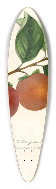 William Henry Prestele - Diospyros: Zengi 39.3 inch art pintail longboard deck
