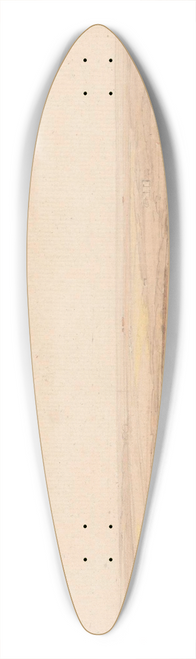 William Pearson - Landschap 39.3 inch art pintail longboard deck