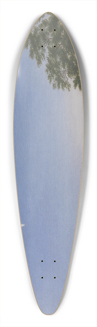 William Turner of Oxford - Donatis Comet 39.3 inch art pintail longboard deck