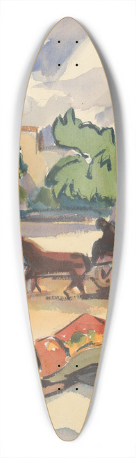 Zolo Palugyay - Provincial Street 39.3 inch art pintail longboard deck