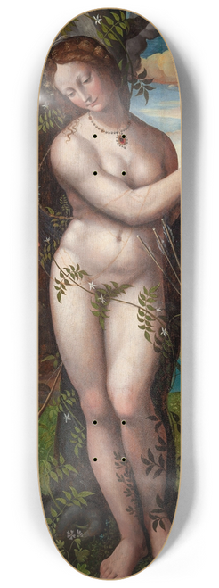 Domenico Beccafumi - Venus and Cupid 8.25 inch art skate deck
