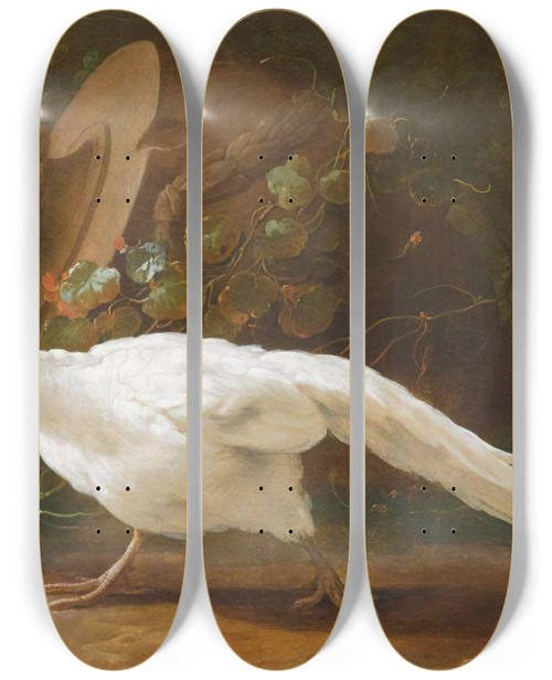 Triptych art skateboard deck of Abraham Bisschop A Sulphurcrested Cockatoo A Redcrested Cardinal And A White Pheasant In A Landscape With A Fallen Urn In The Background by Abraham Bisschop (1670-1729)