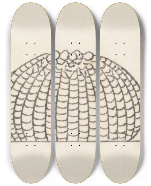 Triptych art skateboard deck of George Hudson Entomology Watercolour Pl013 by George Hudson (1867-1946)