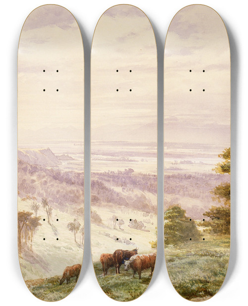Triptych art skateboard deck of John Gully Landscape Waimea Plains Nelson by John Gully (1819-1888)