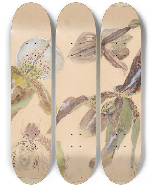Triptych art skateboard deck of Willem Van Konijnenburg Zeven Studies Van Orchideen by Willem van Konijnenburg (1868-1943)