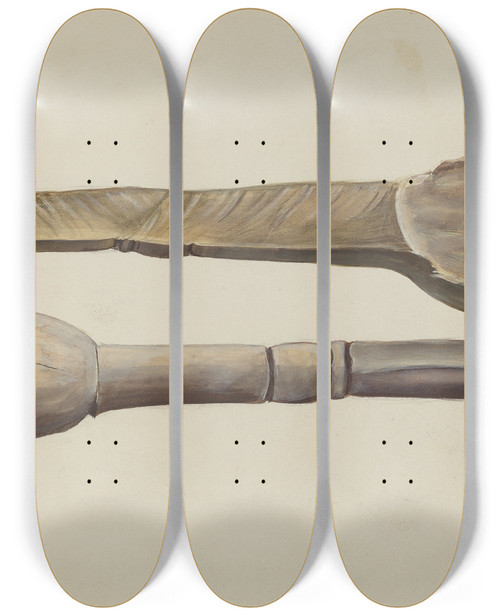 Triptych art skateboard deck of Conrado Barrio Carved Wooden Spoon by Conrado Barrio