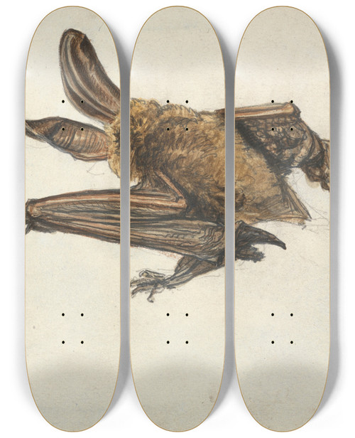 Triptych art skateboard deck of James Ward A Brown Longeared Bat Plecotus Auritus by James Ward (1769-1859)
