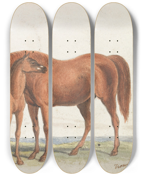 Triptych art skateboard deck of Charles Hamilton Smith Brood Mare And Third Foal With Marks Of Quagga by Charles Hamilton Smith (1776-1859)
