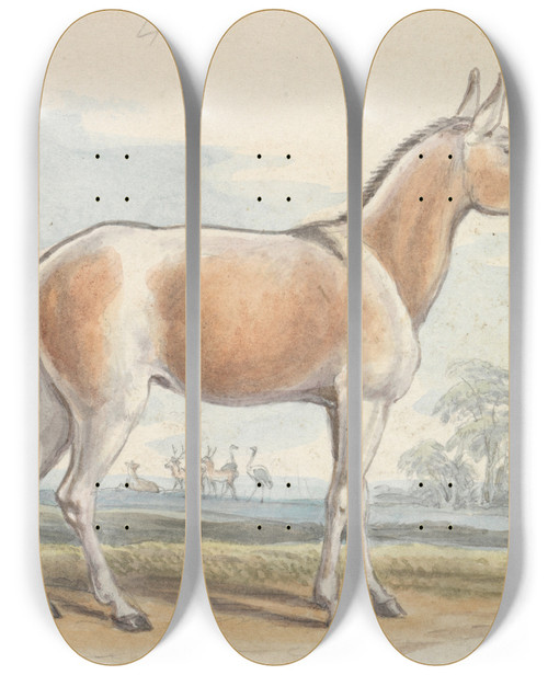 Triptych art skateboard deck of Charles Hamilton Smith Asinus Onager Horse by Charles Hamilton Smith (1776-1859)