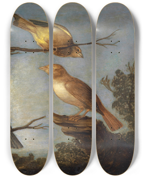 Triptych art skateboard deck of Jan Van Kessel The Elder Birds On The Branches Of A Tree by Jan Van Kessel The Elder (1626-1679)