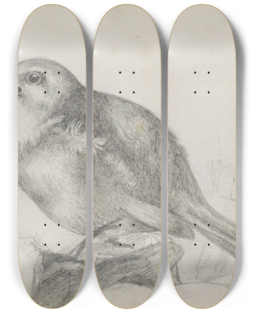 Triptych art skateboard deck of Marius Bauer Jonge Vogel Op Een Steen by Marius Bauer (1867-1932)