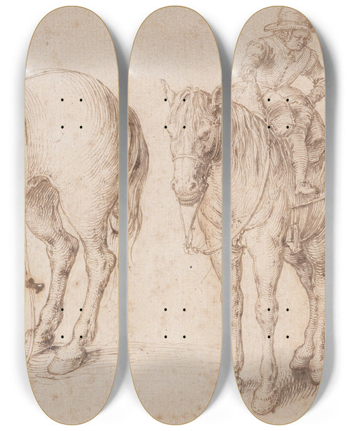 Triptych art skateboard deck of Jacob De Gheyn Ii Study Of A Bean Plant by Jacob de Gheyn II (1565-1629)