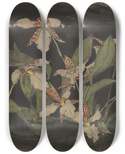 Triptych art skateboard deck of Theo Nieuwenhuis Bloeiende Orchideentak by Theo Nieuwenhuis (1866-1951)