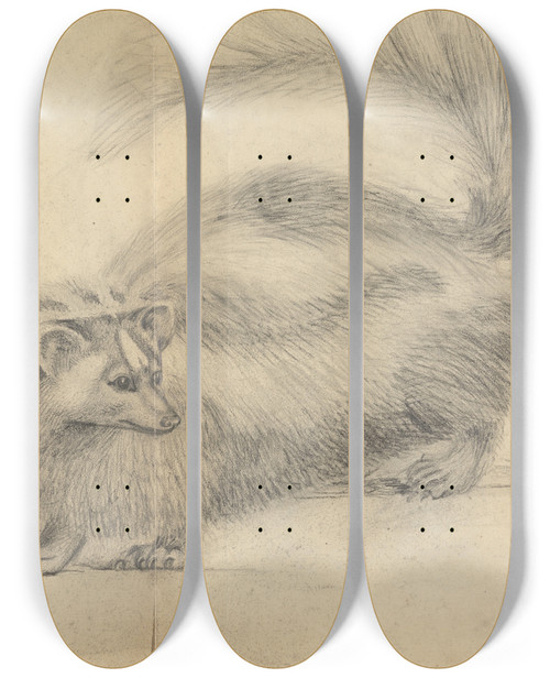 Triptych art skateboard deck of James Sowerby A Skunk With Another Skunk In The Background by James Sowerby (1757-1822)