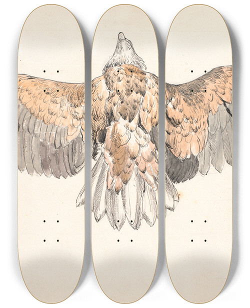 Triptych art skateboard deck of Niels Skovgaard En Dd Musvge Med Udspilede Vinger by Niels Skovgaard (1858-1938)