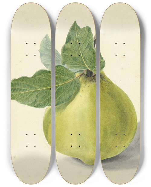 Triptych art skateboard deck of Elisabeth Geertruida Van De Kasteele Een Peer Perzik Pruim En Noten After Michiel Van Huysum by Elisabeth Geertruida Van De Kasteele (1818-1853)