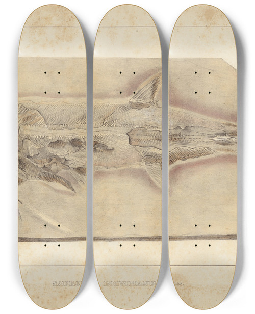 Triptych art skateboard deck of Louis Agassiz Recherches Sur Les Poissons Fossiles Pl225 by Louis Agassiz (1807-1873)