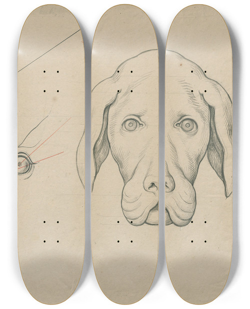Triptych art skateboard deck of David Humbert De Superville Heads Of A Cat And A Dog The Position Of Their Eyes Compared by David Humbert De Superville (1770-1849)