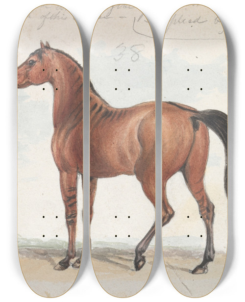 Triptych art skateboard deck of Charles Hamilton Smith Colt Third Issue Of Brood Mare And Second By The Black Arab by Charles Hamilton Smith (1776-1859)
