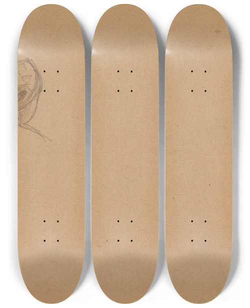 Triptych art skateboard deck of Adolph Tidemand Kvinnehode_2 by Adolph Tidemand (1814-1876)