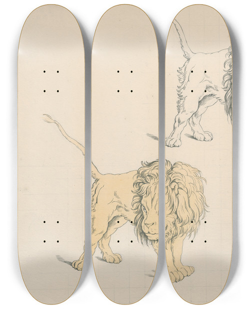 Triptych art skateboard deck of David Humbert De Superville Standing Lion In A Threatening Pose Three Times Repeated In Different Colours by David Humbert De Superville (1770-1849)