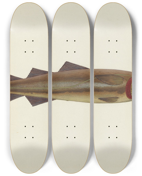 Triptych art skateboard deck of John W Kelleher Sacred Cod by John W Kelleher