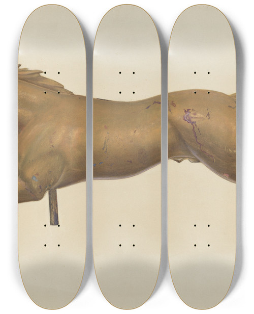 Triptych art skateboard deck of Chris Makrenos Galloping Horse Weather Vane by Chris Makrenos (20-)